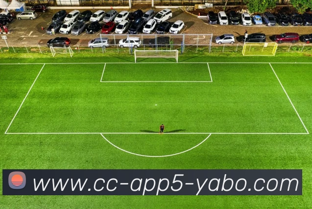 App 展示图